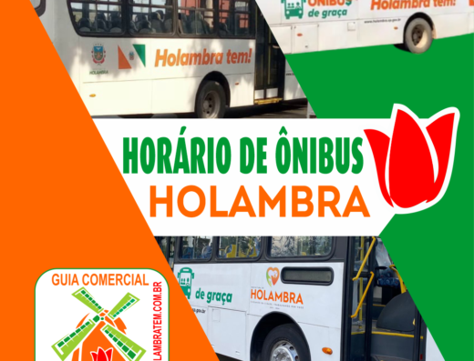 HORARIO DE ONIBUS HOLAMBRA TEM